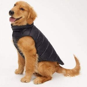 Black Dog Jacket - Super Ruff Puff